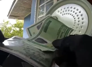 Mãos de policial federal segurando documentos apreendidos durante operação que investiga fraude bancária.