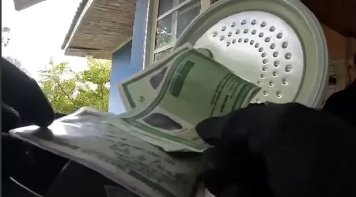 Mãos de policial federal segurando documentos apreendidos durante operação que investiga fraude bancária.