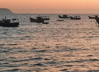 Vários barcos de pesca no mar ao nascer do sol, indicando tempo firme e ensolarado.