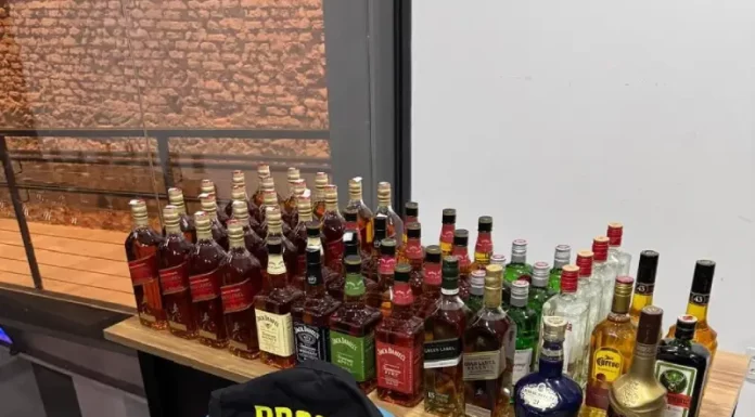 Procon de Florianópolis apreende 54 garrafas de bebidas de descaminho no Norte da Ilha Garrafas de bebidas apreendidas pelo Procon Florianópolis durante operação contra descaminho, mostrando a fiscalização de produtos irregulares.