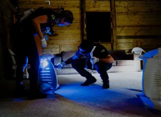 Imagem mostra perito oficial criminal da Polícia Científica analisando uma cena de crime, destacando o trabalho técnico que apoia investigações e reforça a segurança pública.