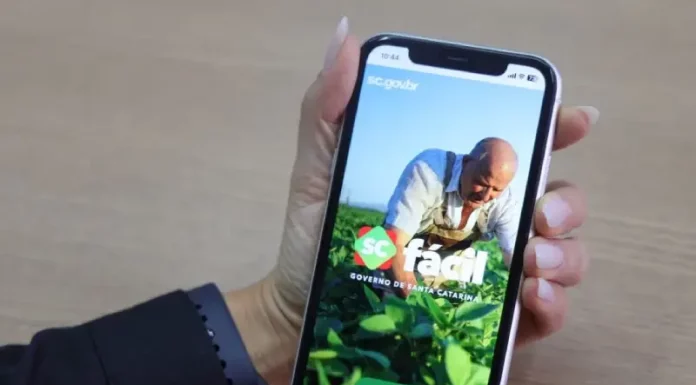 Pessoa segura um celular com a tela aberta no aplicativo SC Fácil, que mostra a interface inicial da plataforma digital do Governo de Santa Catarina, usada para acessar serviços públicos de forma online.