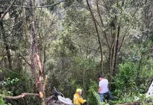 Bombeiro com uniforme amarelo e capacete avalia os destroços de um veículo que caiu em uma ribanceira cercada por mata densa, após grave colisão na BR-282 em Bom Retiro (SC). Ao fundo, um homem observa a cena. Partes do carro estão espalhadas entre a vegetação, indicando a força do impacto.