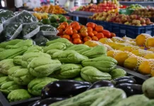 Foto com verduras e legumes frescos, representando a oferta de alimentos saudáveis e a segurança alimentar no estado de Santa Catarina.