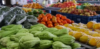 Foto com verduras e legumes frescos, representando a oferta de alimentos saudáveis e a segurança alimentar no estado de Santa Catarina.
