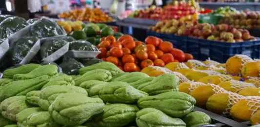 Foto com verduras e legumes frescos, representando a oferta de alimentos saudáveis e a segurança alimentar no estado de Santa Catarina.