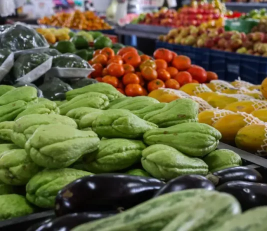 Foto com verduras e legumes frescos, representando a oferta de alimentos saudáveis e a segurança alimentar no estado de Santa Catarina.