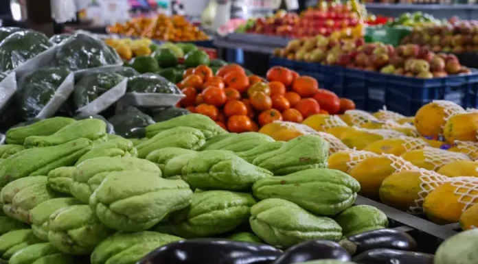 Foto com verduras e legumes frescos, representando a oferta de alimentos saudáveis e a segurança alimentar no estado de Santa Catarina.