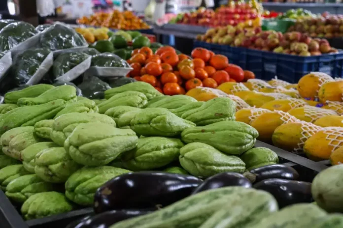 Foto com verduras e legumes frescos, representando a oferta de alimentos saudáveis e a segurança alimentar no estado de Santa Catarina.