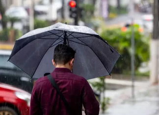 Homem caminhando na chuva com guarda-chuva, mostrando os efeitos da frente fria que provoca tempo instável, chuva intensa e temporais isolados em Santa Catarina.