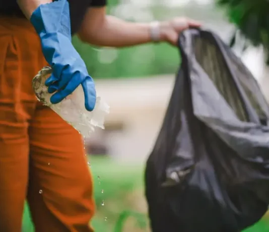 Dengue: Santa Catarina se mobiliza com ações de enfrentamento ao Aedes aegypti Homem recolhendo um pedaço de plástico com água parada para eliminar possíveis criadouros do mosquito Aedes aegypti e focos de dengue.