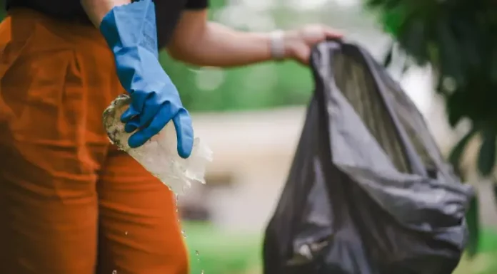 Dengue: Santa Catarina se mobiliza com ações de enfrentamento ao Aedes aegypti Homem recolhendo um pedaço de plástico com água parada para eliminar possíveis criadouros do mosquito Aedes aegypti e focos de dengue.