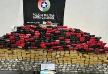 Embalagens de maconha empilhadas, apreendidas pelo BPChoque durante operação em Palhoça.