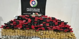 Embalagens de maconha empilhadas, apreendidas pelo BPChoque durante operação em Palhoça.
