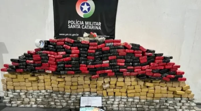 Embalagens de maconha empilhadas, apreendidas pelo BPChoque durante operação em Palhoça.