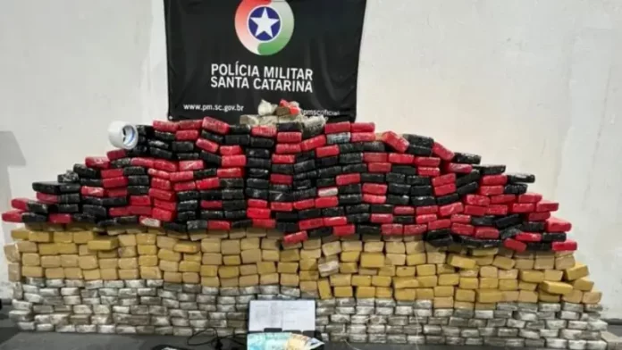Embalagens de maconha empilhadas, apreendidas pelo BPChoque durante operação em Palhoça.