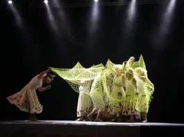 Grupo de danças Ronaldo Rodrigues se apresentando em um festival para registrar e divulgar a participação da companhia no evento