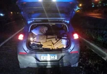 Porta-malas aberto exibindo tabletes de maconha apreendidos, registrados para documentar a ação policial.