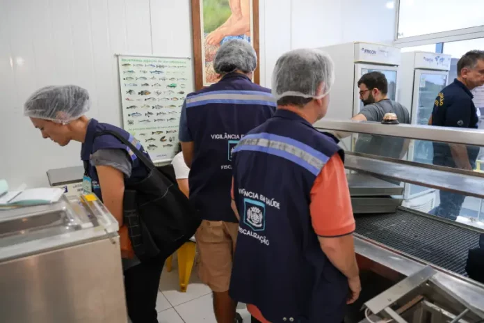 Fiscalização Agentes realizam fiscalização para verificar a qualidade e a segurança dos alimentos oferecidos ao consumidor.