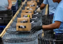 Operários trabalhando em uma linha de montagem de uma indústria catarinense, ilustrando o avanço da produção e o crescimento econômico acima da média nacional.