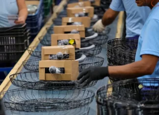 Santa Catarina mantém ritmo de crescimento acima da média nacional em 2025 Operários trabalhando em uma linha de montagem de uma indústria catarinense, ilustrando o avanço da produção e o crescimento econômico acima da média nacional.