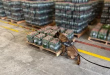 Receita Federal encontra cocaína diluída em garrafas de refrigerantes Cão de faro da Receita Federal inspeciona pallets de garrafas de refrigerante para ilustrar a operação que encontrou cocaína diluída na carga.