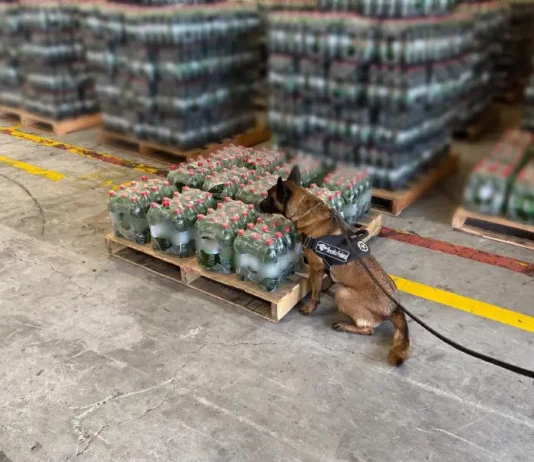 Receita Federal encontra cocaína diluída em garrafas de refrigerantes Cão de faro da Receita Federal inspeciona pallets de garrafas de refrigerante para ilustrar a operação que encontrou cocaína diluída na carga.