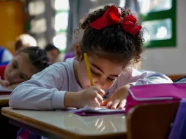 Período de transferências de estudantes da rede municipal para a estadual começa nesta segunda-feira (03/11) Menina participando de atividades em sala de aula da educação infantil, representando o período em que os estudantes poderão realizar matrículas e transferências escolares.