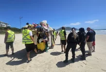 Agentes da Prefeitura e da Polícia Militar abordam um carrinho carregado de produtos irregulares nas praias para ilustrar a fiscalização contra o comércio ambulante ilegal em Florianópolis.