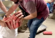 Polícia prende homem com 500kg de maconha em Palhoça Tabletes de maconha apreendidos pela polícia em Palhoça