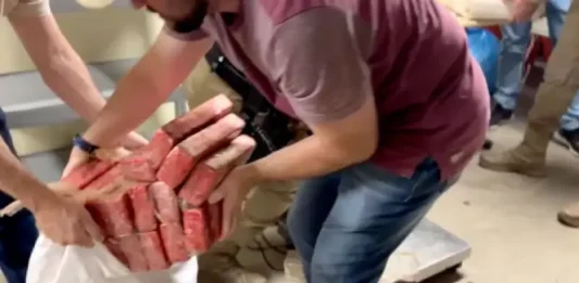 Tabletes de maconha apreendidos pela polícia em Palhoça