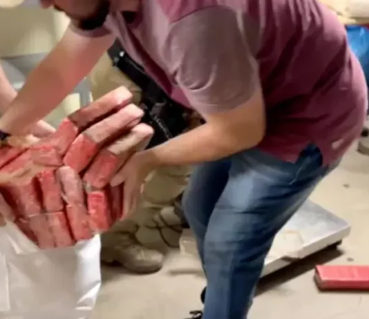 Tabletes de maconha apreendidos pela polícia em Palhoça