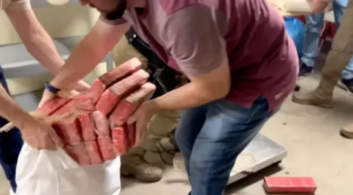 Tabletes de maconha apreendidos pela polícia em Palhoça