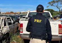 Leilão da PRF-SC oferece 651 veículos apreendidos ou abandonados; lance inicial de R$ 600 Policial rodoviário inspeciona veículos que irão a leilão, verificando condições e documentação.