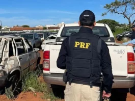 Policial rodoviário inspeciona veículos que irão a leilão, verificando condições e documentação.