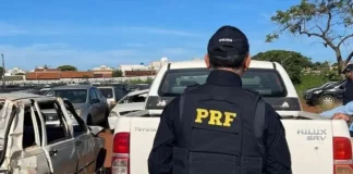 Policial rodoviário inspeciona veículos que irão a leilão, verificando condições e documentação.