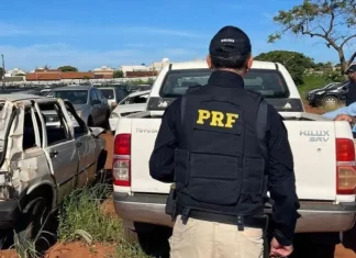 Policial rodoviário inspeciona veículos que irão a leilão, verificando condições e documentação.