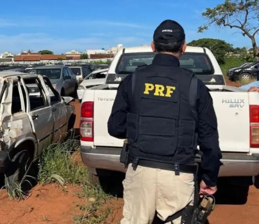 Policial rodoviário inspeciona veículos que irão a leilão, verificando condições e documentação.