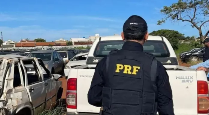 Policial rodoviário inspeciona veículos que irão a leilão, verificando condições e documentação.