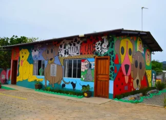 Comitiva de Goiás visita SC para conhecer o Programa ReabilitaCão, modelo do sistema prisional catarinense Imagem mostra o prédio colorido do Programa ReabilitaCão, com murais de cães nas paredes externas, ilustrando o espaço onde internos cuidam e treinam animais resgatados como parte do processo de ressocialização.
