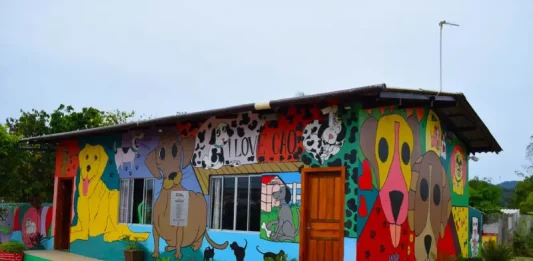 Imagem mostra o prédio colorido do Programa ReabilitaCão, com murais de cães nas paredes externas, ilustrando o espaço onde internos cuidam e treinam animais resgatados como parte do processo de ressocialização.