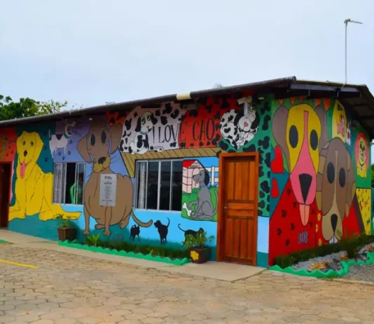 Comitiva de Goiás visita SC para conhecer o Programa ReabilitaCão, modelo do sistema prisional catarinense Imagem mostra o prédio colorido do Programa ReabilitaCão, com murais de cães nas paredes externas, ilustrando o espaço onde internos cuidam e treinam animais resgatados como parte do processo de ressocialização.