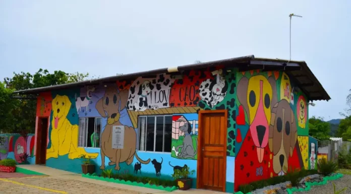 Imagem mostra o prédio colorido do Programa ReabilitaCão, com murais de cães nas paredes externas, ilustrando o espaço onde internos cuidam e treinam animais resgatados como parte do processo de ressocialização.