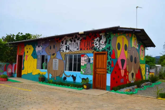 reabilitaCão Imagem mostra o prédio colorido do Programa ReabilitaCão, com murais de cães nas paredes externas, ilustrando o espaço onde internos cuidam e treinam animais resgatados como parte do processo de ressocialização.