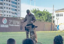 7º BPM promove ação social com crianças de centros de acolhimento em São José Apresentação do Canil do 7º BPM durante ação social, mostrando a interação entre policial, cão de faro e crianças para fins educativos e de aproximação com a comunidade.