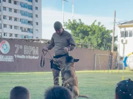 7º BPM promove ação social com crianças de centros de acolhimento em São José Apresentação do Canil do 7º BPM durante ação social, mostrando a interação entre policial, cão de faro e crianças para fins educativos e de aproximação com a comunidade.