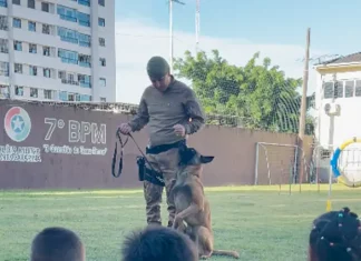 7º BPM promove ação social com crianças de centros de acolhimento em São José Apresentação do Canil do 7º BPM durante ação social, mostrando a interação entre policial, cão de faro e crianças para fins educativos e de aproximação com a comunidade.