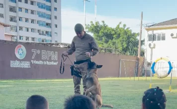 7º BPM promove ação social com crianças de centros de acolhimento em São José Apresentação do Canil do 7º BPM durante ação social, mostrando a interação entre policial, cão de faro e crianças para fins educativos e de aproximação com a comunidade.