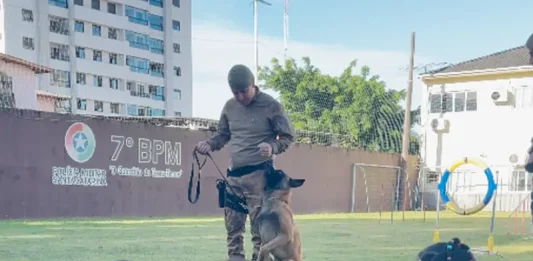 7º BPM promove ação social com crianças de centros de acolhimento em São José Apresentação do Canil do 7º BPM durante ação social, mostrando a interação entre policial, cão de faro e crianças para fins educativos e de aproximação com a comunidade.