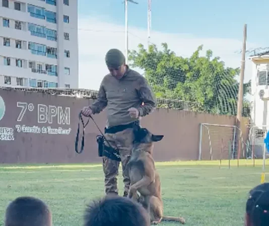 7º BPM promove ação social com crianças de centros de acolhimento em São José Apresentação do Canil do 7º BPM durante ação social, mostrando a interação entre policial, cão de faro e crianças para fins educativos e de aproximação com a comunidade.